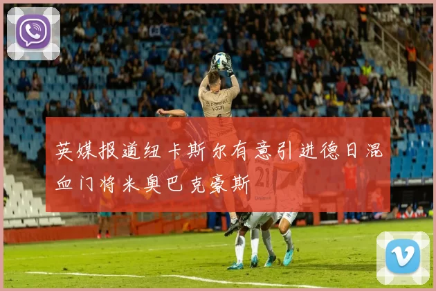 英媒报道纽卡斯尔有意引进德日混血门将米奥巴克豪斯