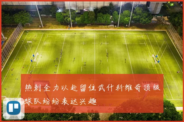 热刺全力以赴留住武什科维奇顶级球队纷纷表达兴趣